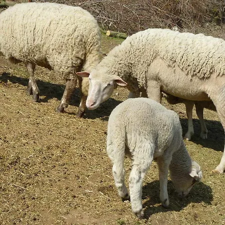 Ferme Des Combettes