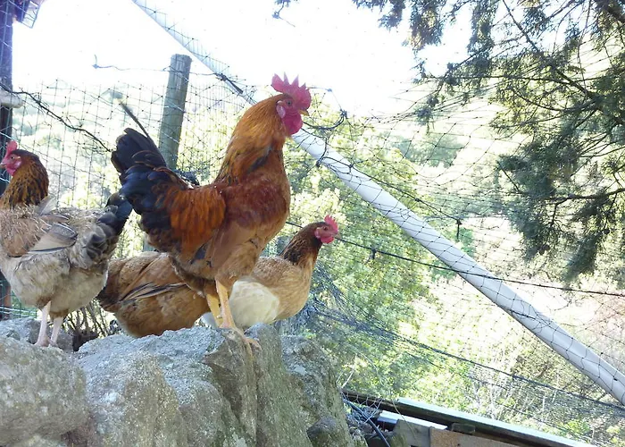 فندق مبيت وإفطار Ferme Des Combettes Saint-Péray