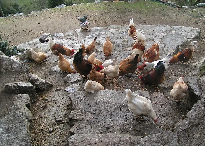فندق مبيت وإفطار Ferme Des Combettes Saint-Péray