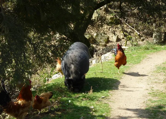 فندق مبيت وإفطار Ferme Des Combettes Saint-Péray